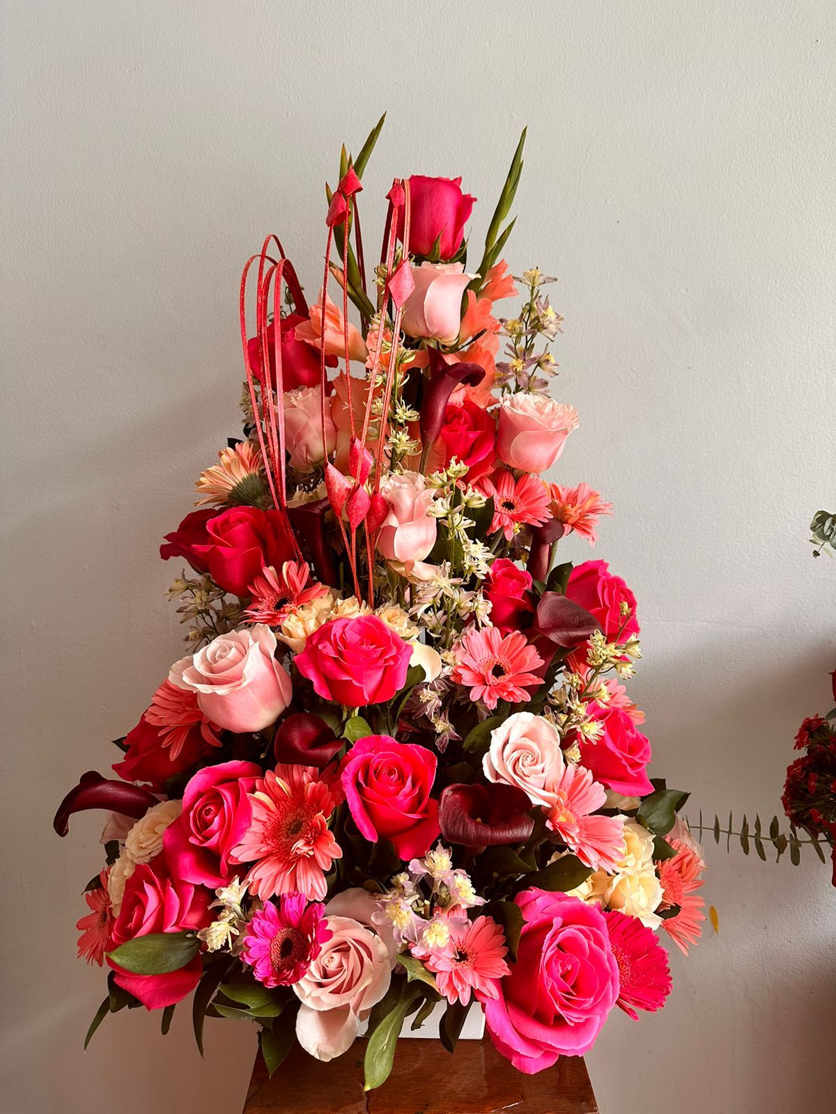 Alegría rosa 2