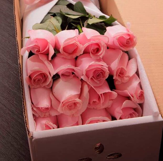 Caja Ternura