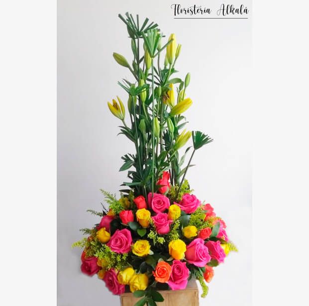 Rosas 05