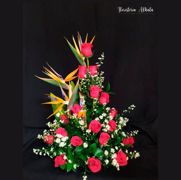 Rosas 03