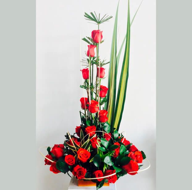 Rosas 11