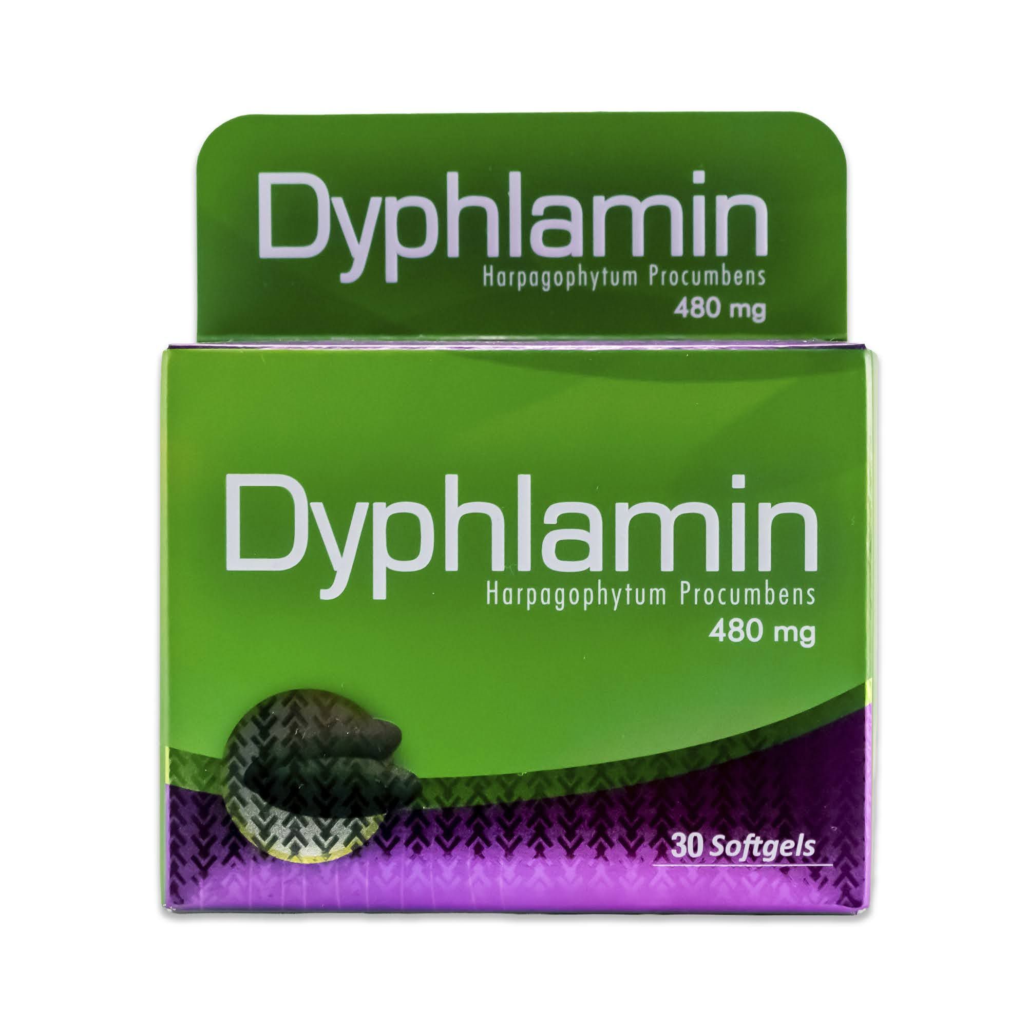 DYPHLAMIN CAJA * 450 mg HEALTHY DE AMERICA