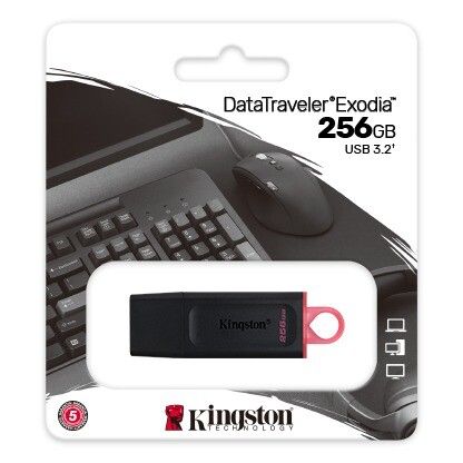 Memoria USB Kingston DataTraveler Exodia Onyx 256Gb Negra