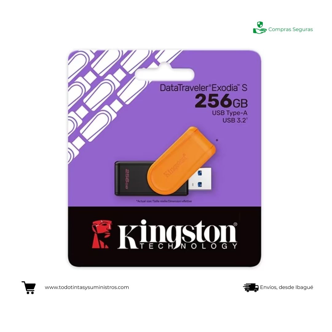 Memoria USB Kingston DataTraveler Exodia Onyx 256Gb Negra